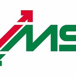 VMS Logo