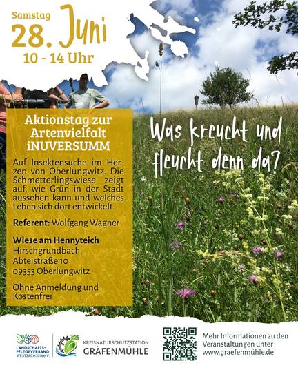 2025.05.19 - LPV - Veranstaltungen in Oberlungwitz_Flyer Insekten.jpg